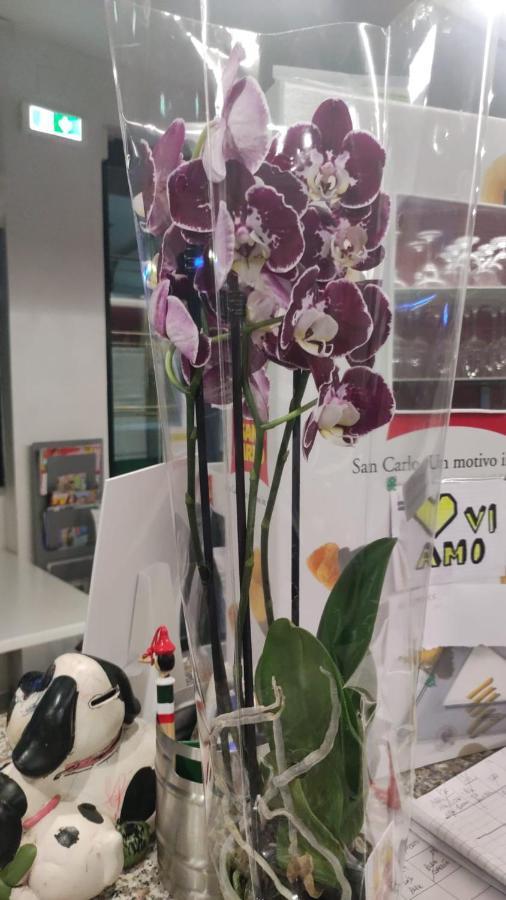 Hotel Orchidea لينانو سابيادورو المظهر الخارجي الصورة